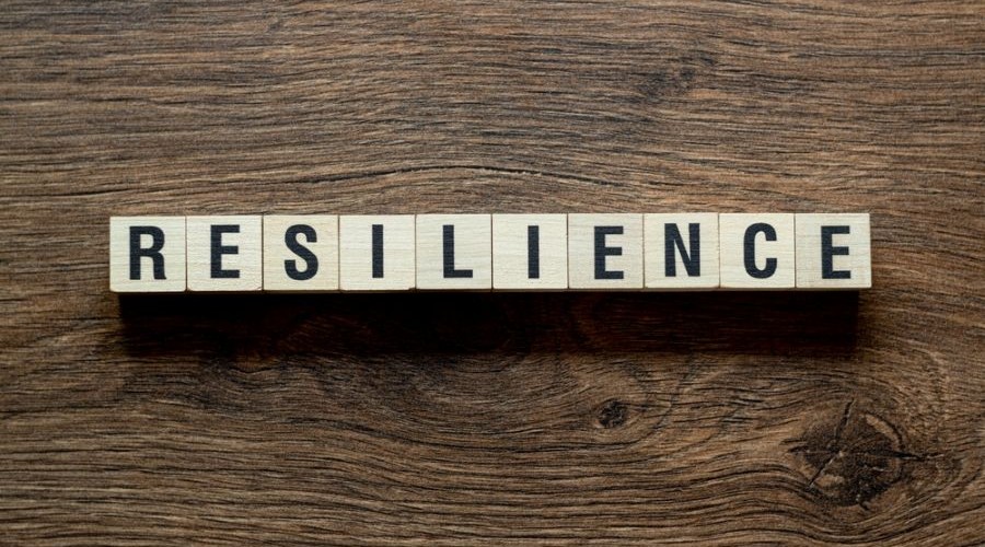 resilience on wood_shutterstock_2316560409 900x500