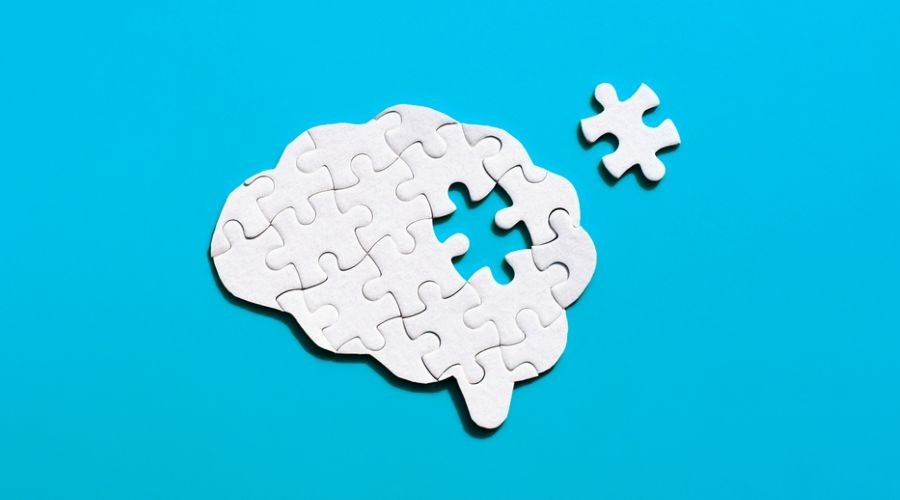 brain puzzle_shutterstock_2433246175 900x500