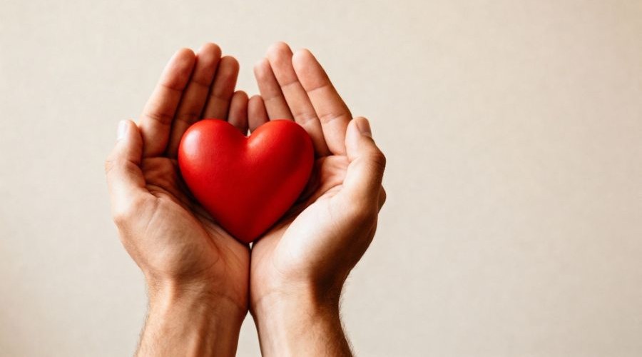 hands holding a heart_shutterstock_2729409141 900x500